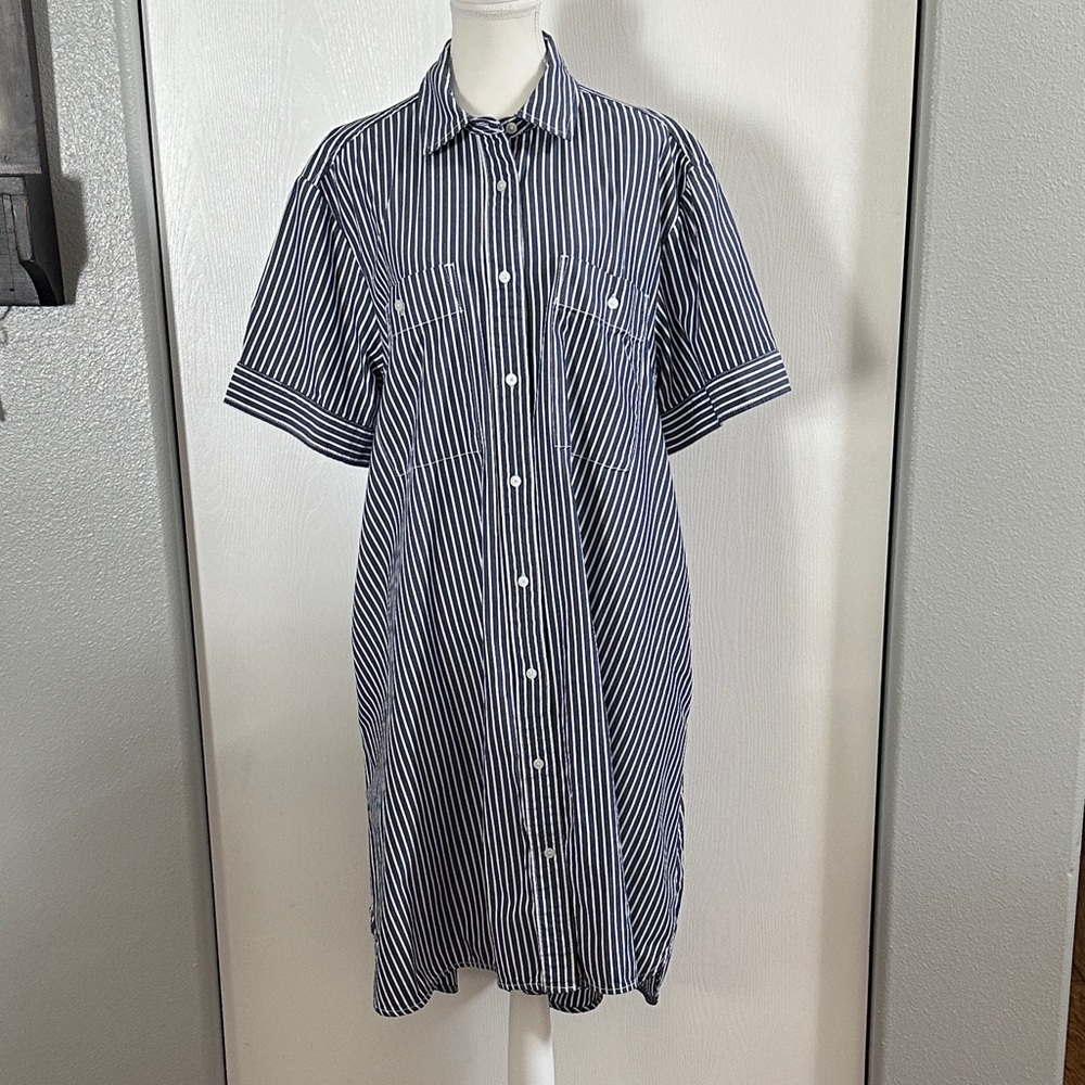 Everlane Daytripper Dress